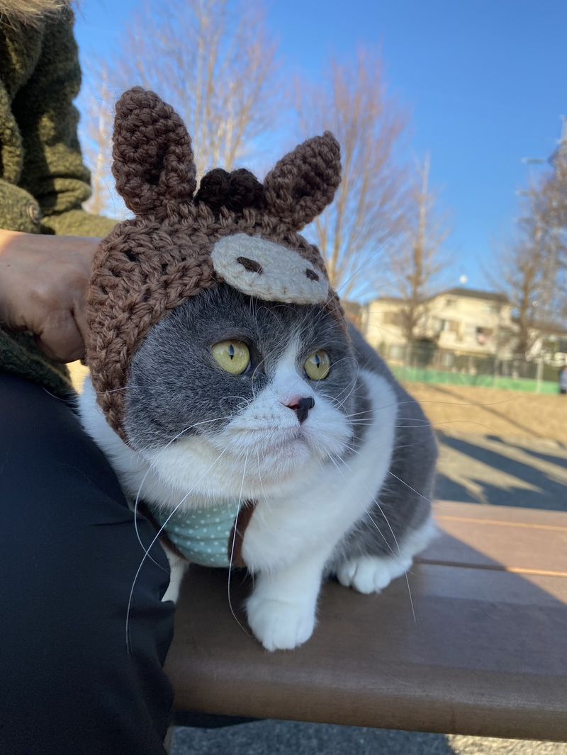 茶色のニット帽をかぶって、冬晴れの空の下、公園のベンチにいるまりも